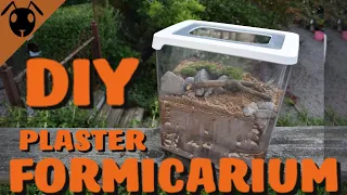 How to make a Plaster FORMICARIUM! *Tutorial*