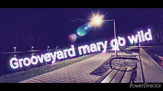 Grooveyard mary go wild (𝓓𝓳 𝓜𝓪𝓻𝓽𝔂𝓷) Club Edit