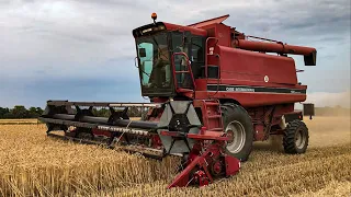 Żniwa 2023 - Case IH Axial-Flow 1680