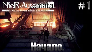 NieR: Automata На Русском ⚙ Прохождение 🔩 Часть 1 : Начало ⚙