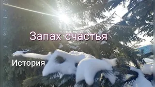 Запах счастья (история)