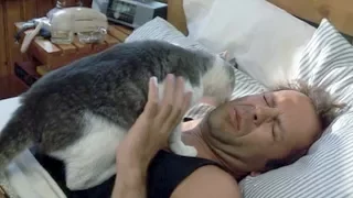 Best Funny Cats Waking Up Owners Compilation
