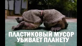 ПЛАСТИКОВЫЙ МУСОР УБИВАЕТ ПЛАНЕТУ!