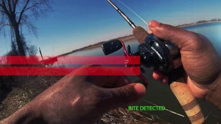 Angler Marv VR Bass 2057