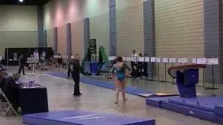 Kaitlynn Hedelund - 2014 Virginia Level 10 State Championships Vault