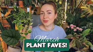 March houseplant favorites 🥰🌿rescued, pink, variegated and other plants