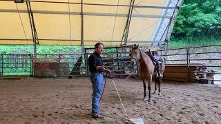 Quieting a nervous horse