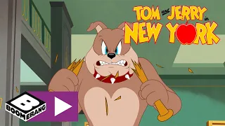 Tom & Jerry | Spike's Teddy Bear | Boomerang UK