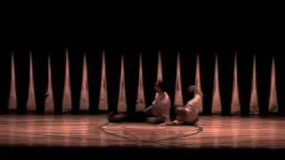 Reinaldo Ribeiro - El salto de Nijinsky