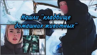 Нашли кладбище домашних животных