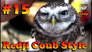 Redji COUB Style #15 ⁄⁄Лучшее в Coub  ПРИКОЛЫ Best Coub 1