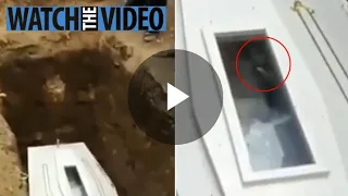 Moment corpse appears to WAVE through coffin’s glass panel sparking fears they were buried alive