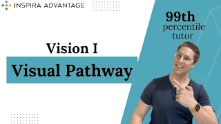 Eye Anatomy & the Visual Pathway Explained | MCAT Crash Course