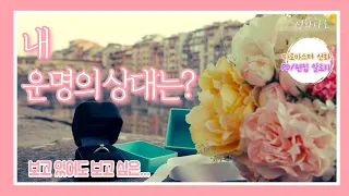 [타로/연애💗] 당신 운명의 상대는?