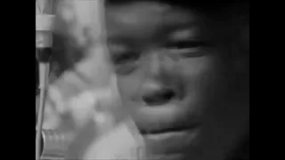 John Lee Hooker performing Boom Boom at the Newport Folk Festival in 1963