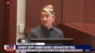 Amber Heard continues to abuse Johnny Depp publicly, his lawyer snaps | LiveNOW from FOX