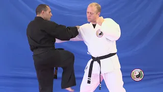 Kempo Karate - Double Striker Kempo