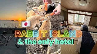 [4K] Rabbit Island Japan | Kyukamura Ohkunoshima Hiroshima Travel | Hot Spring Resort on the island
