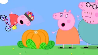 Peppa Wutz | Fahrradabenteuer mit Peppa Pig! | Peppa Pig Wutz | Cartoons für Kinder