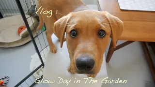 18.09.23 - Vlog 1 - Slow Day In The Garden