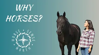 WHY HORSES? What Leadership, Personal Development, and Empowerment Have to do with Horses.