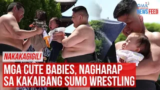 NAKAKAGIGIL!Mga cute babies, nagharap sa kakaibang sumo wrestling | GMA Integrated Newsfeed