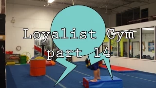 TimFlips - Loyalist Gym part 14 (Parkour/Freerunning)