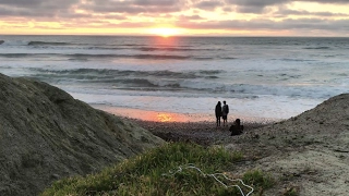 Listening to Plants at Sunset with MIDI Sprout