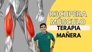 Terapia para aumentar músculos en pierna