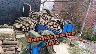 Brennholz machen Teil 2 | Fällen und mit der Winde arbeiten | Grüner Wolf Kanal