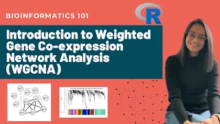 Introduction to Weighted Gene Co-expression Network Analysis (WGCNA) | Bioinformatics 101