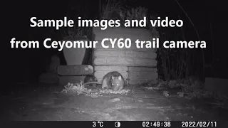 Review of CEYOMUR CY60 24MP, 1080P wildlife trail camera
