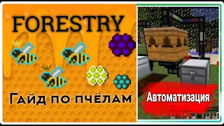 Первые Шаги в Forestry/Пчеловодство/ГАЙД #1