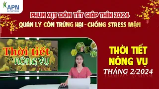 APN - THỜI TIẾT NÔNG VỤ THÁNG 2.2024 | PHUN XỊT ĐÓN TẾT | QUẢN LÝ CÔN TRÙNG HẠI - CHỐNG STRESS MẶN