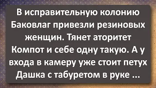 В Исправительно-трудовую Колонию Привезли Резиновых Женщин! Сборник Самых Свежих Анекдотов!