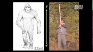 I Saw Bigfoot | Finding Bigfoot