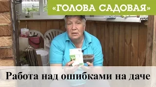 Голова садовая - Работа над ошибками на даче