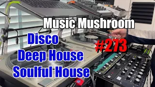 2024 Deep DISCO Mix “Take Me Home" - BOZAK Vinyl MusicMushroom #273 New York New Jersey