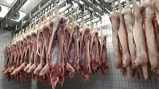 Amazing Fresh Pork Production Process - Automatic Pork Cutting Line Machine