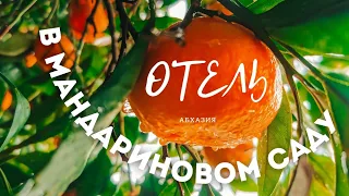 Мандариновая Абхазия| 2022| Обзор отеля у моря в мандариновом саду, Новый Афон