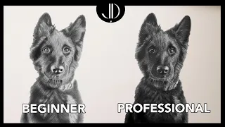 Beginner vs Professional: How To Level Up Your Drawing