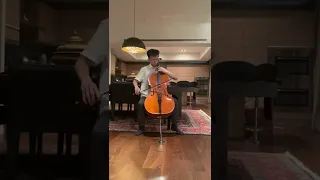 1936 Poggi cello