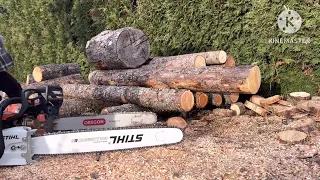 Stihl MS 362c-R vs Husqvarna 365 Special