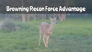 Deer Feeder #1: Browning Recon Force Advantage March 15-30, 2023
