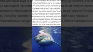 ТОП 5 Самых ужасных нападений акул на человека