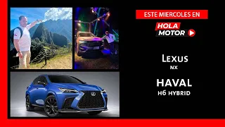 Claudio Isgut, gerente de Lexus, nuevo Lexus NX. Lanzamiento: Haval H6 híbrido