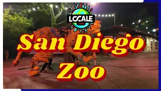 Exploring the San Diego Zoo & Its Diverse animals Wildlife #wildlife #zoo #sandiegozoo