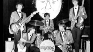 The Barracudas - I Can't Believe ('60s GARAGE)