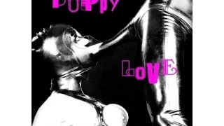 dj antigen erecton -   puppy love (  electrohouse , electro , fidget mix)