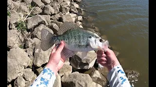 Red Rock Crappie from Shore!